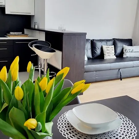 Apartmán Na Zeglarskim Szlaku Wjm