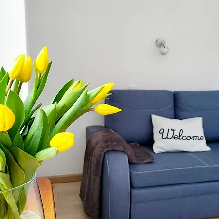 Na Zeglarskim Szlaku Wjm Apartment Gizycko